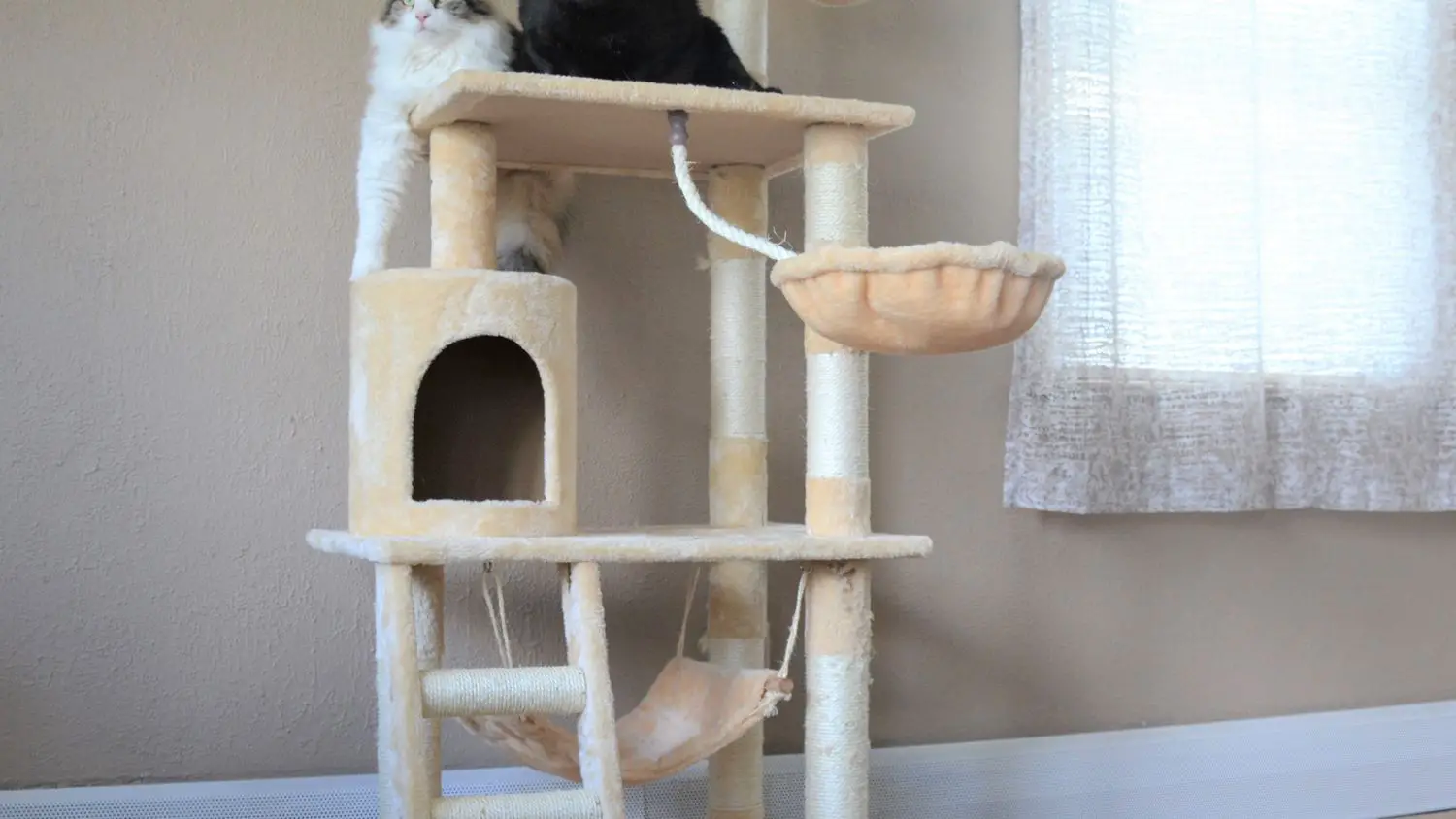 GoPetClub Cat Tree Condo House Review